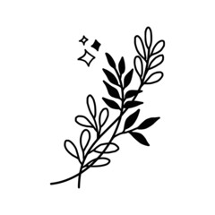 Hand drawn monochrome plant, leaf, and foliage element for wedding invitation, logo, symbol, greeting cards, decor, botanical icon, or banner. Summer, spring, and autumn botany element