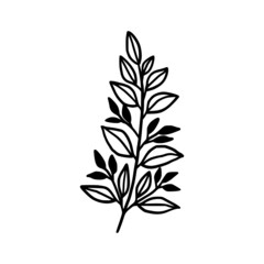 Hand drawn monochrome plant, leaf, and foliage element for wedding invitation, logo, symbol, greeting cards, decor, botanical icon, or banner. Summer, spring, and autumn botany element