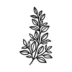 Hand drawn monochrome plant, leaf, and foliage element for wedding invitation, logo, symbol, greeting cards, decor, botanical icon, or banner. Summer, spring, and autumn botany element