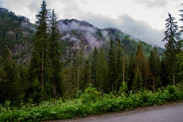 The mountains. Hiking in the mountains. Rainy day in the mountains. Summer in the mountains. Тatras.