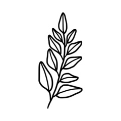 Fototapeta premium Hand drawn monochrome plant, leaf, and foliage element for wedding invitation, logo, symbol, greeting cards, decor, botanical icon, or banner. Summer, spring, and autumn botany element