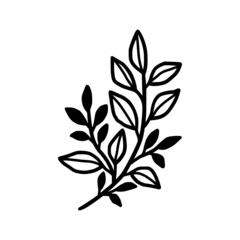 Fototapeta premium Hand drawn monochrome plant, leaf, and foliage element for wedding invitation, logo, symbol, greeting cards, decor, botanical icon, or banner. Summer, spring, and autumn botany element