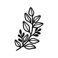 Hand drawn monochrome plant, leaf, and foliage element for wedding invitation, logo, symbol, greeting cards, decor, botanical icon, or banner. Summer, spring, and autumn botany element