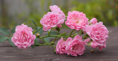 Little pink roses on wood table. Gentle romantic background. Floral background. Flowers, spring, summer concept.Romance and love card concept.