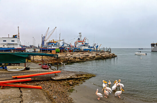 Pelikane im Fischereihafen von Walvis Bay, Namibia
