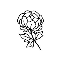 Hand drawn monochrome peony flower element for wedding invitation, logo, symbol, greeting cards, decor, botanical icon, or banner. Summer, spring, and autumn botany element