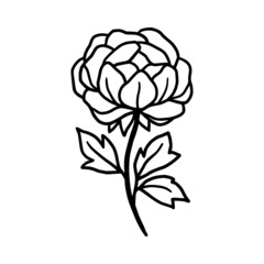Hand drawn monochrome peony flower element for wedding invitation, logo, symbol, greeting cards, decor, botanical icon, or banner. Summer, spring, and autumn botany element