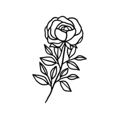 Hand drawn monochrome rose flower plant, leaf, and foliage element for wedding invitation, logo, symbol, greeting cards, decor, botanical icon, or banner. Summer, spring, and autumn botany element