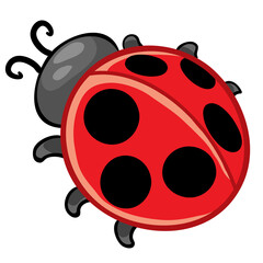 ladybug red with black dots, cartoon illustration, isolated object on a white background, vector illustration,