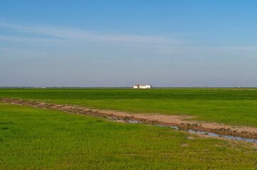 estepa y mezcla de colores de primavera en el coto de doñana en huelva