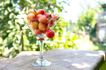 fresh ripe cherries in a glass on the wooden table in a garden, natural background