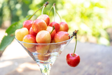 fresh ripe cherries in a glass on the wooden table in a garden, natural background