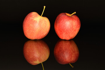 Red ripe apples, close-up, on a black background.