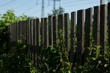 wooden fence in the village in summer