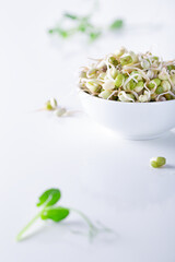 Microgreens and sprouts in white bowl on white background