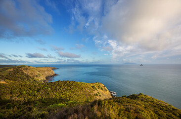 New Zealand coast