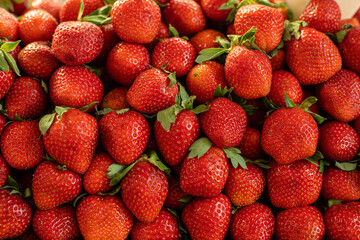 strawberry background. The perfect red ripe fresh strawberries.