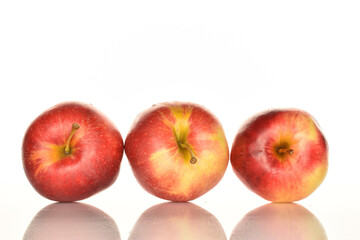 Red ripe apples, close-up, on a white background.