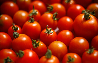 Cherry tomatoes for background, cherry tomatoes for wallpaper, red cherry tomatoes. Organic cherry tomatoes.