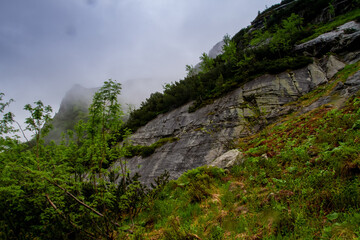 The mountains. Hiking in the mountains. Rainy day in the mountains. Summer in the mountains. Тatras.