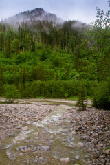 Fototapeta na wymiar .River in the mountains among the trees. Rainy day in the mountains. Summer in the mountains. Waterfall. Tatra mountains..