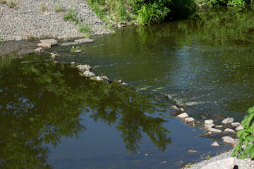 small river among bushes and trees