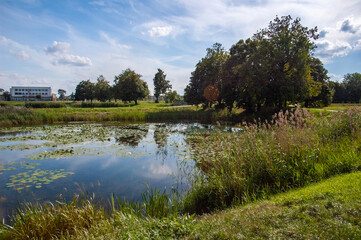 Park w Radzyniu Podlaskim przy Pałacu Potockich