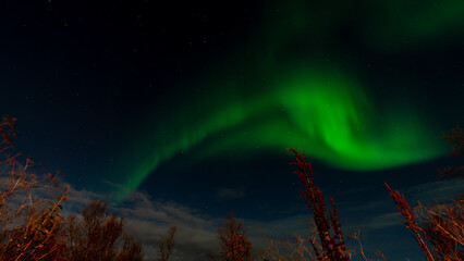 Polarlichter (aurora borealis) über Tromsö, Finnmark, Norwegen