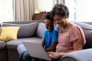 Fototapeta premium Senior mixed race woman wiith her grandson Using a laptop