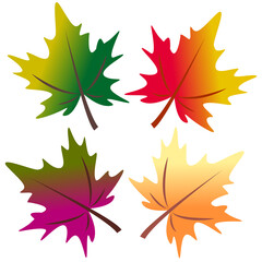 Set of four colored maple leaves with a gradient. Vector illustration, element for design.