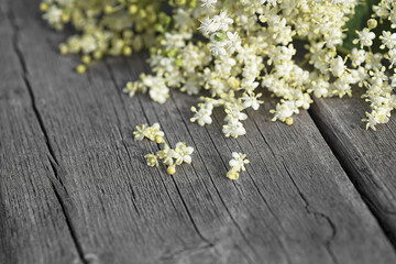 Fototapeta premium Elderberry flowers on a wooden background. Blossoms, elder flowers. Macro. Selective focus.