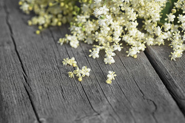 Obraz na płótnie Canvas Elderberry flowers on a wooden background. Blossoms, elder flowers. Macro. Selective focus.