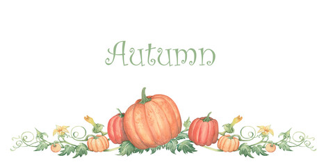 autumn garland with pumpkins on the white background