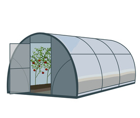 Vector illustration isolated on white background greenhouse with tomatoes for growing vegetables