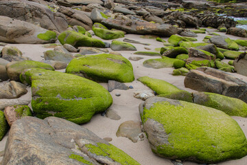 shore of rocks on the Atlantic coast , Galicia, Spain