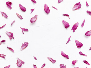 Flower composition. Peony petals are on a white textured background forming a frame. Top view. Flat lay. Copy space.