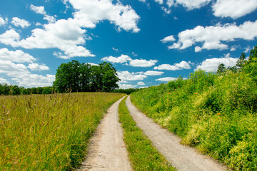 View on countryside road with clouds on background in South Poland