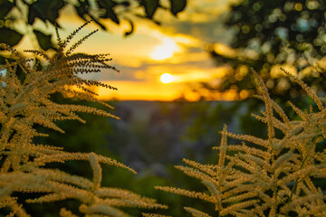 Elbsandsteingebirge bei Sonnenaufgang