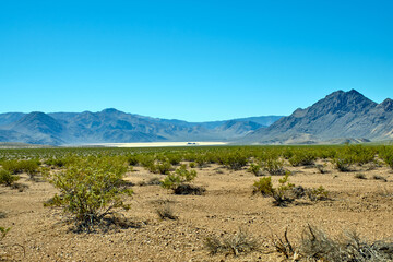 Racetrack valley in the Death Valley National Park