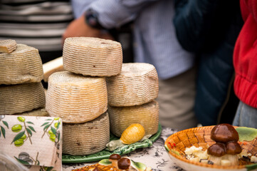 Hard Cheese Festival. Cheese in the market. Homemade cheese. Craft cheese. Milk product.