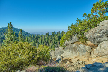 Fototapeta na wymiar Sequoia National Park in California, USA.