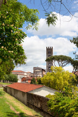 Fototapeta na wymiar Lucca panorama, Tuscany