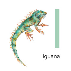Animals alphabet. I for iguana. Watercolor letters illustration isolated on white background