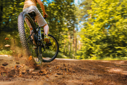 close-up of the rear wheel of a skidded bicycle. Forest background blurred in motion. place for text