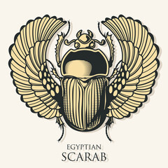 Egyptian Scarab, Winged Bug, Beetle Drawing - obrazy, fototapety, plakaty
