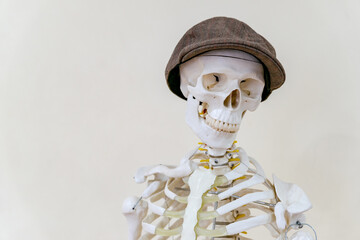 Human skeleton in a cap, on a light background. Mannequin. Copyspace