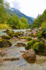 Colorful Krnica river in Krnica valley near Kranjska gora in Triglav national park in Slovenia.