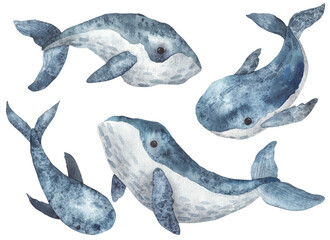 set of whales watercolor illustration on white background