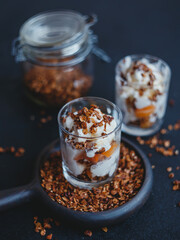 Organic homemade granola сereal with oats and walnuts, with ice cream and apricots. Healthy snack.