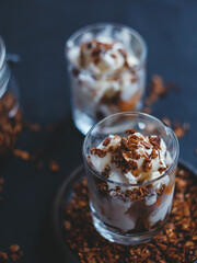 Organic homemade granola сereal with oats and walnuts, with ice cream and apricots. Healthy snack.